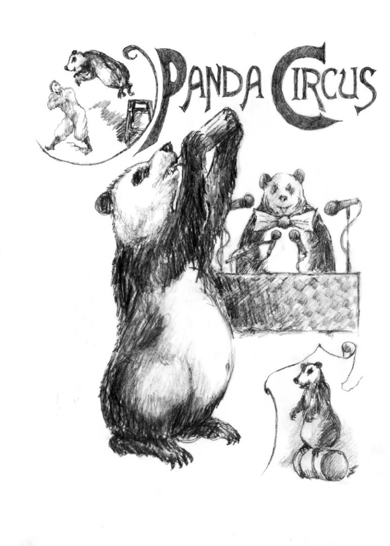 EEN CIRCUS