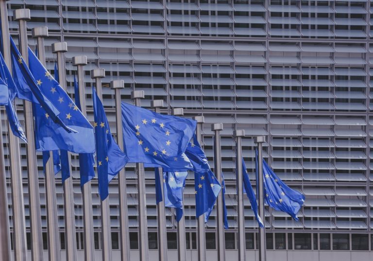 Ce qu’il faut retenir de l’interview de l’eurodéputée Michèle Rivasi