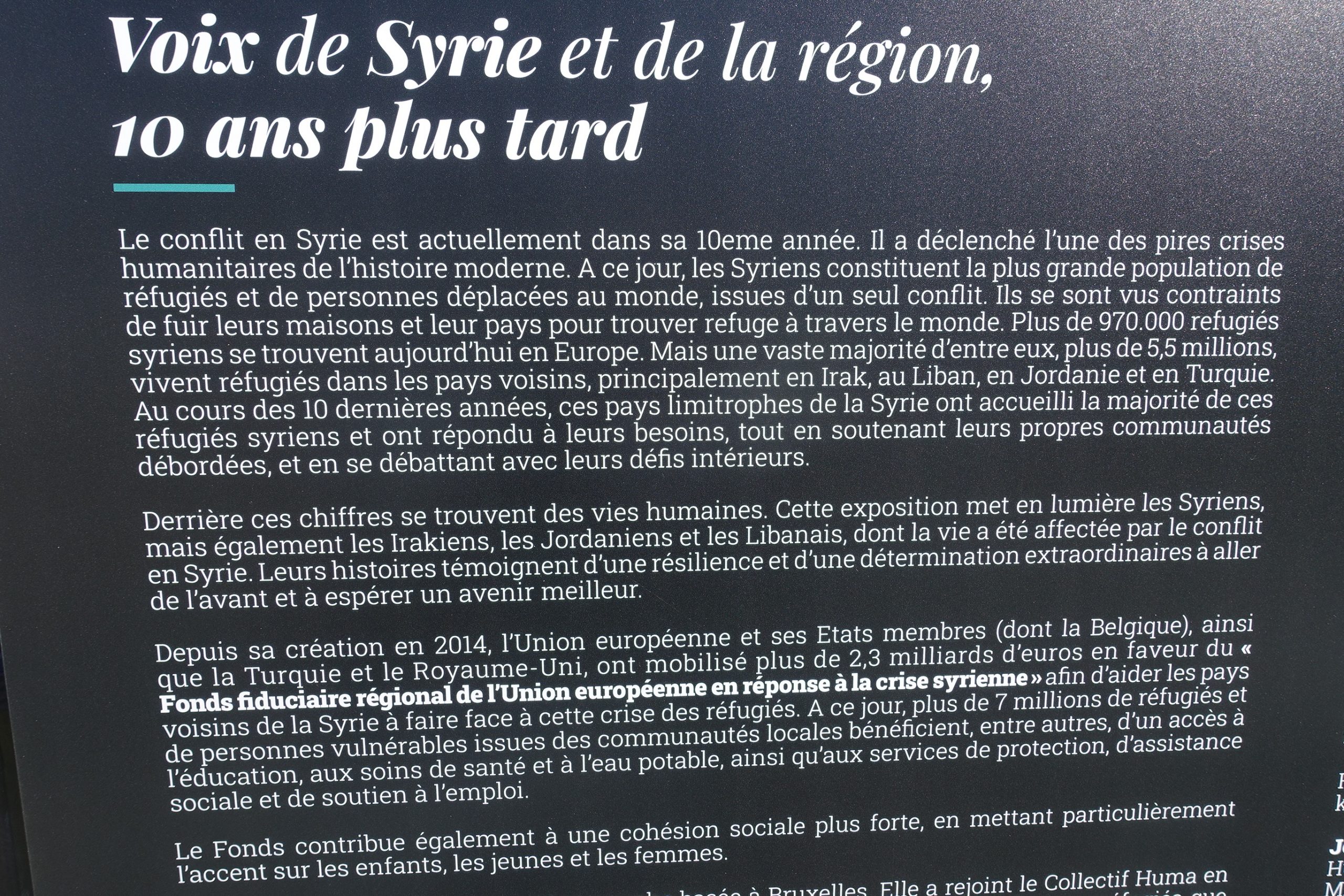 Quelques réactions à l’exposition  « Voix de Syrie et de la région, 10 ans plus tard »