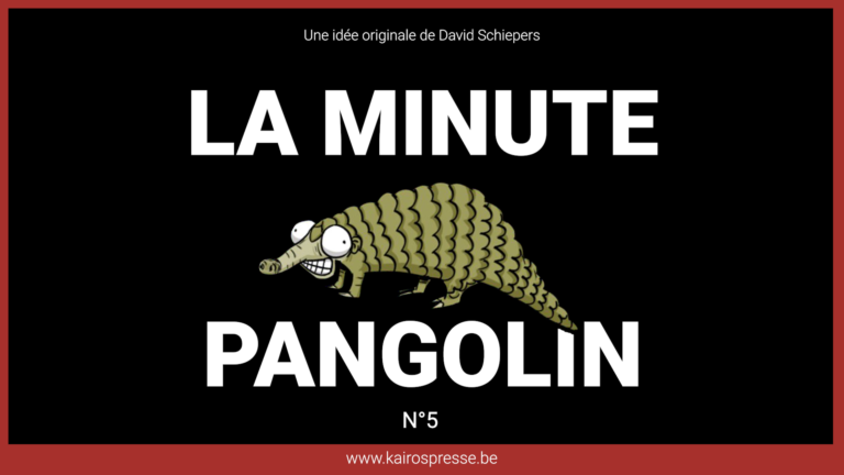La minute Pangolin N°5