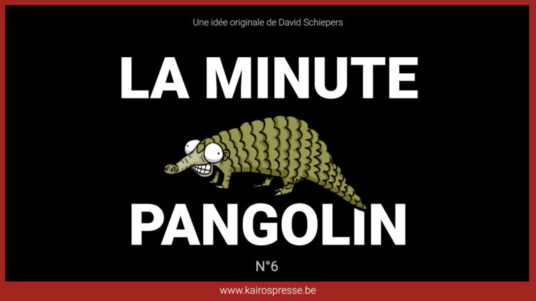 La minute Pangolin n°6