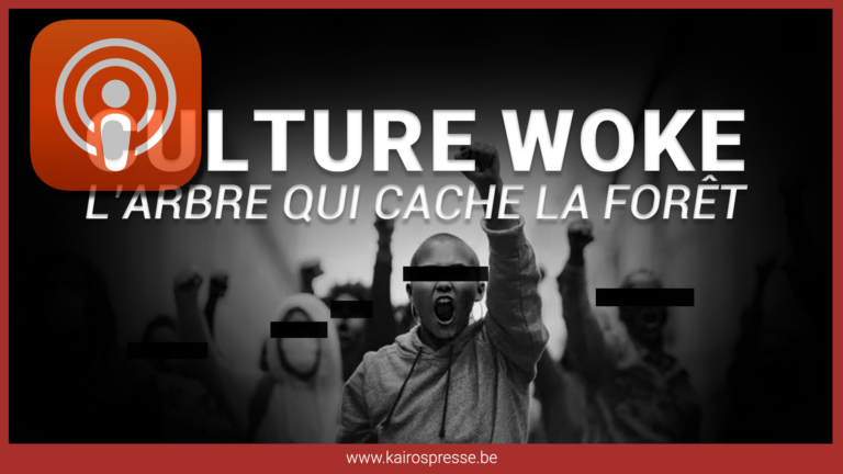 Culture woke: l&rsquo;arbre qui cache la forêt